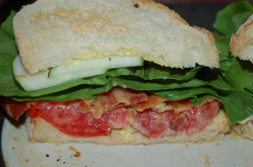 This lowly sandwich takes on a whole new meaning whne made iwth locaaaly grown in-season food.