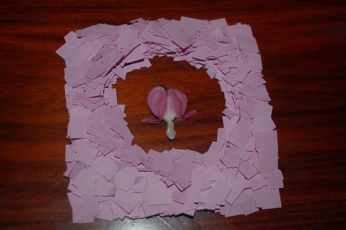 Things to do with cut-up paper and a single flower petal!