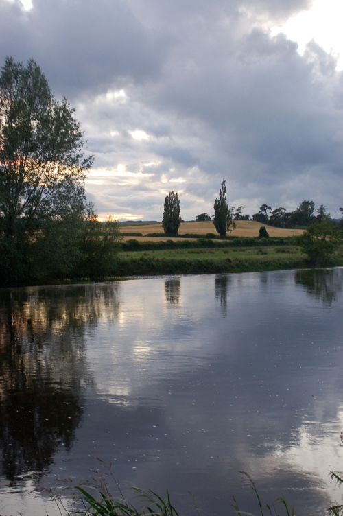 The River Barrow (10 minutes from our house)
