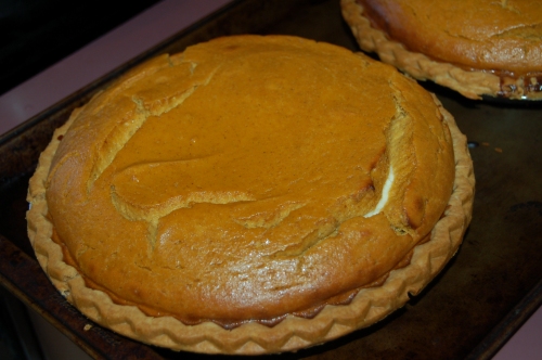 Just out of oven - Pumpkin Pie - cracked but will still taste as delicious!